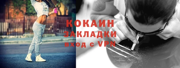 молекула духа Мегион