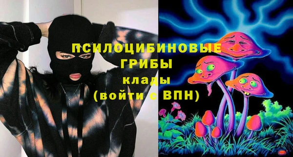 крисы Медногорск