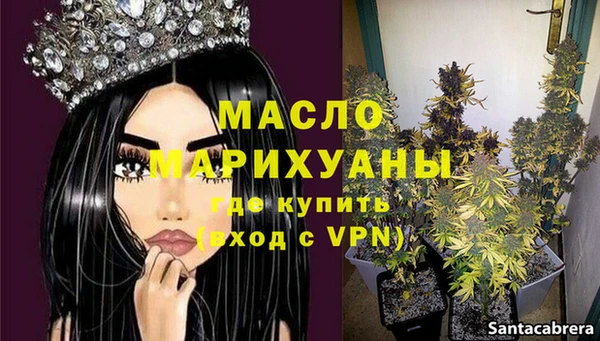 молекула духа Мегион