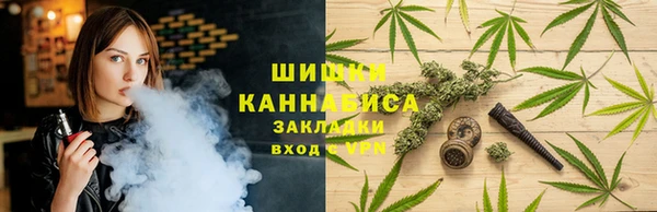 молекула духа Мегион