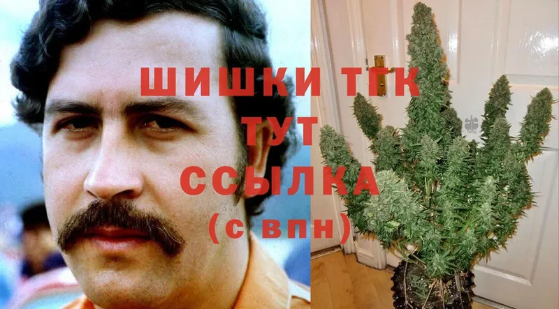 Конопля сатива  Духовщина 